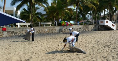 Beach-cleaning-1605-2