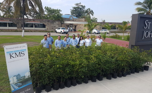 Reforestacion1707282